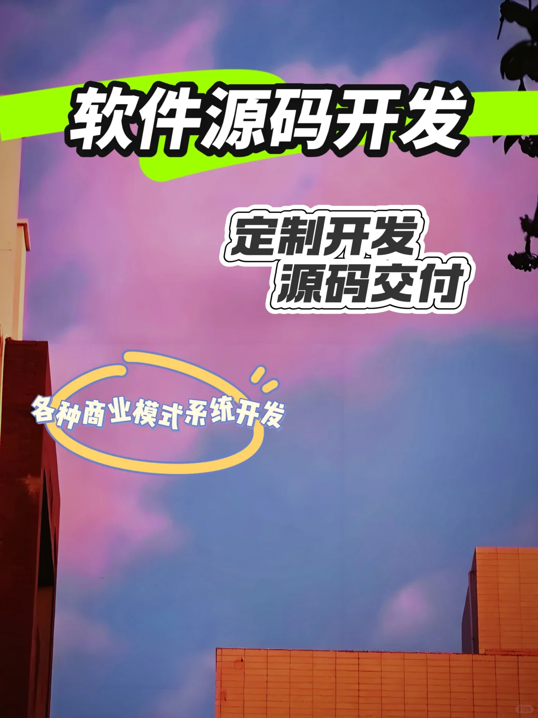 软件源码定制开发