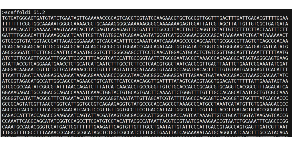 二代测序数据组装（2）