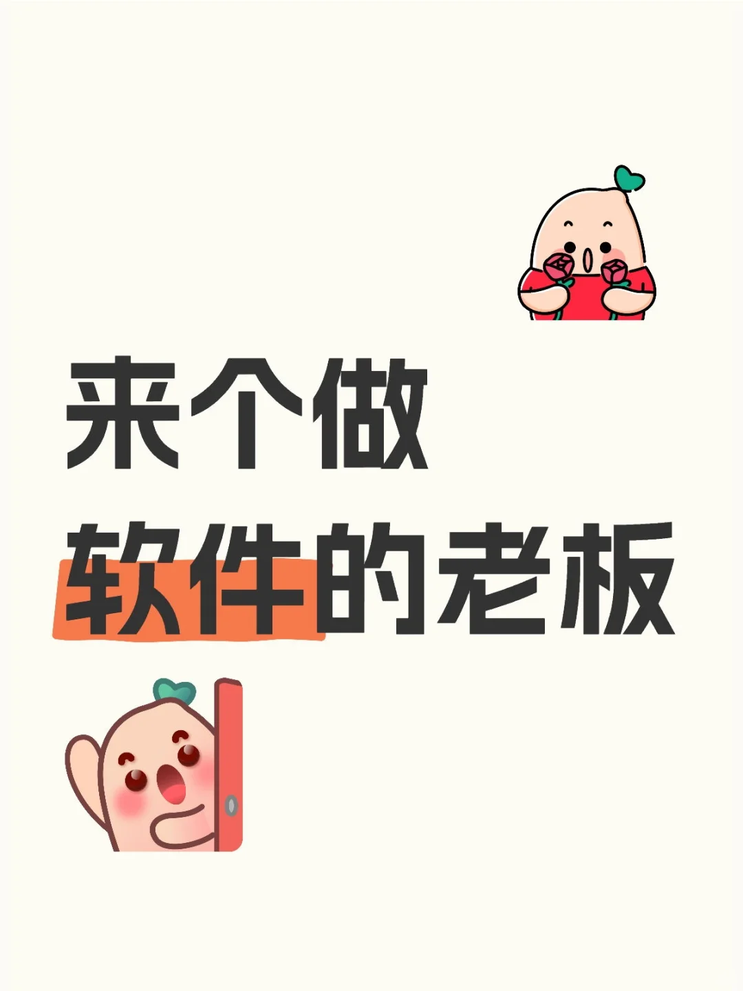 来个做软件的老板