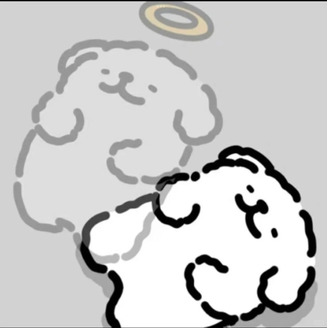 求助!莫名其妙收到个验证码