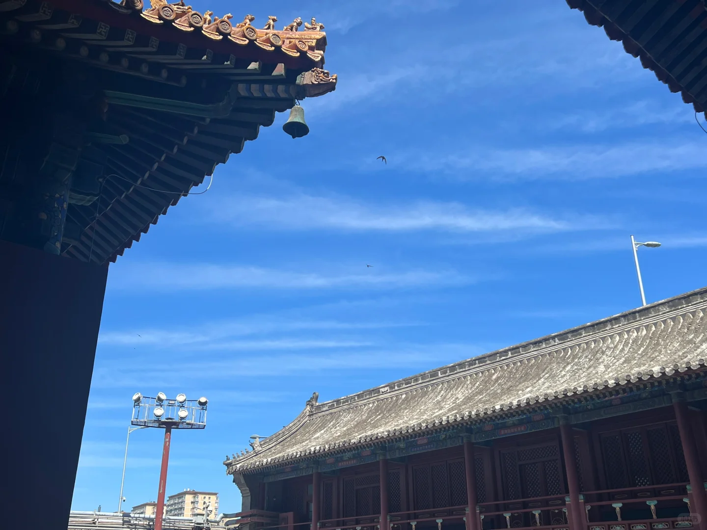 小白入职医美App一周辞职#医美咨询师