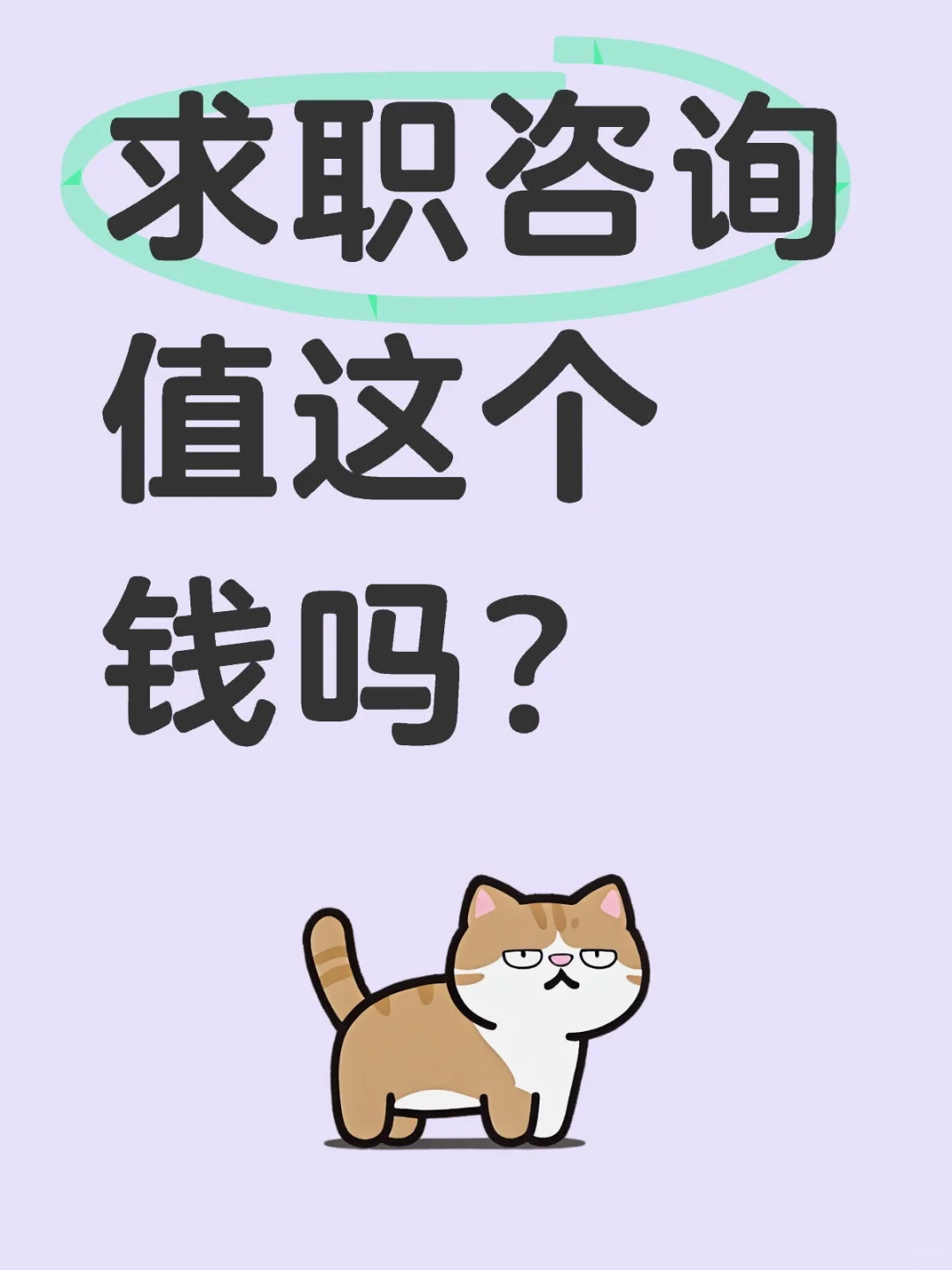 求职咨询值这个钱吗
