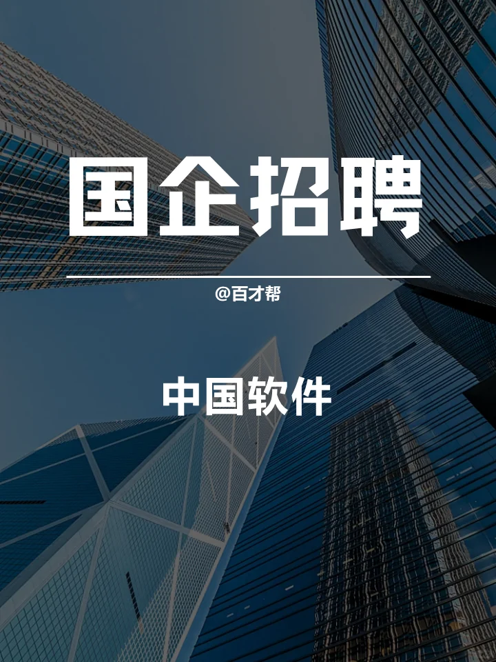🚀中国软件🔥招聘咨询项目经理