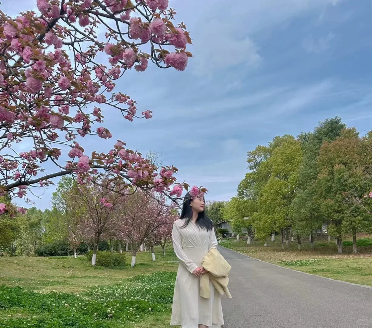 免费咨询，有问必答！