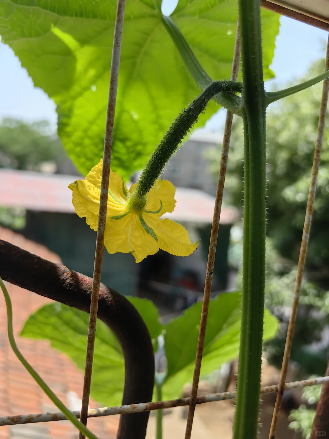 🔮入驻测测平台全攻略🔥新手必看！