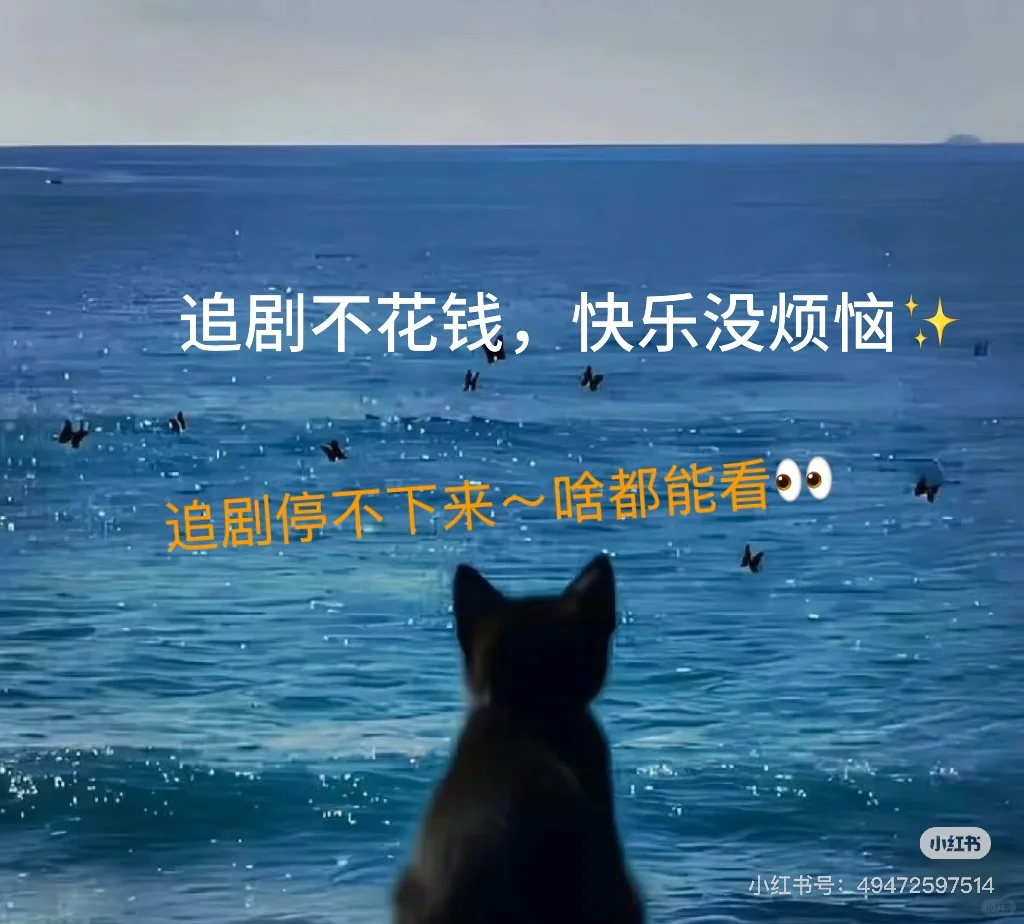 用了两年的软件