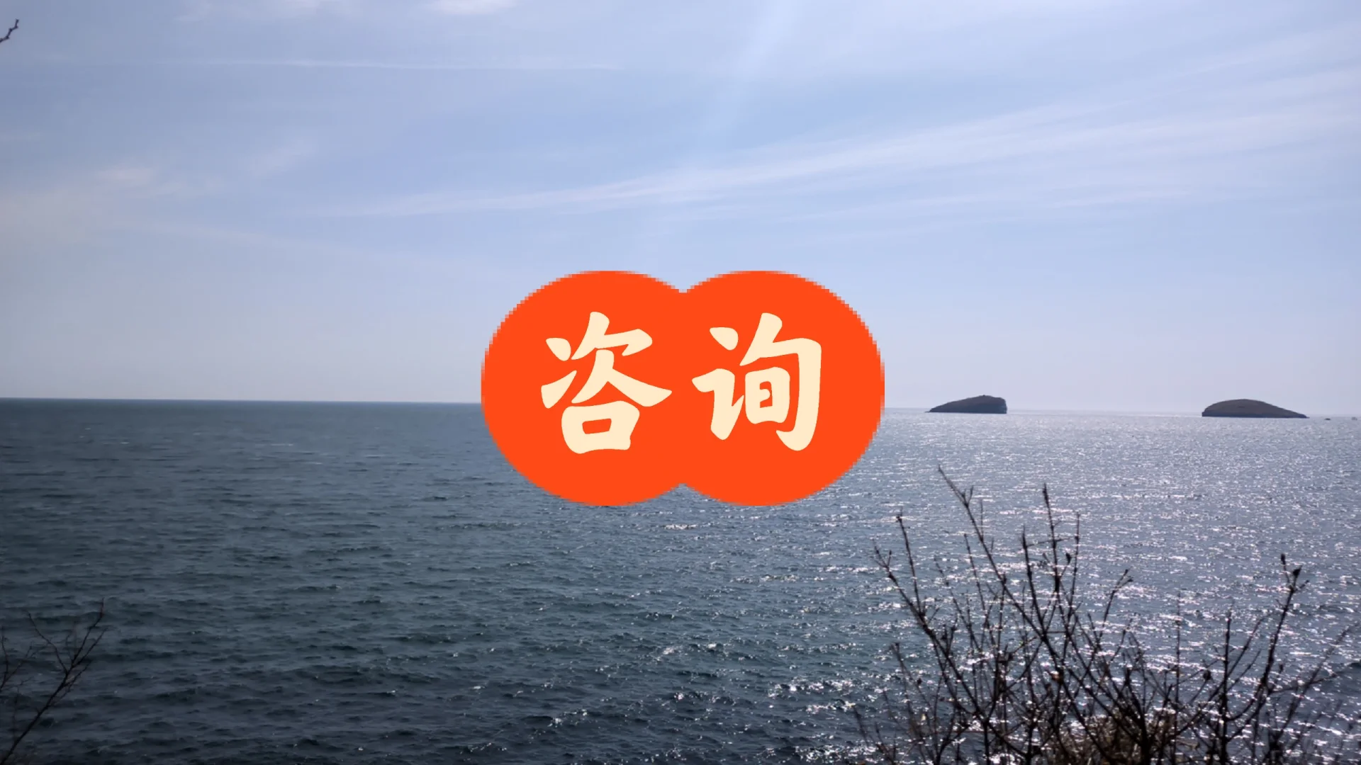 这里一个咨询贴