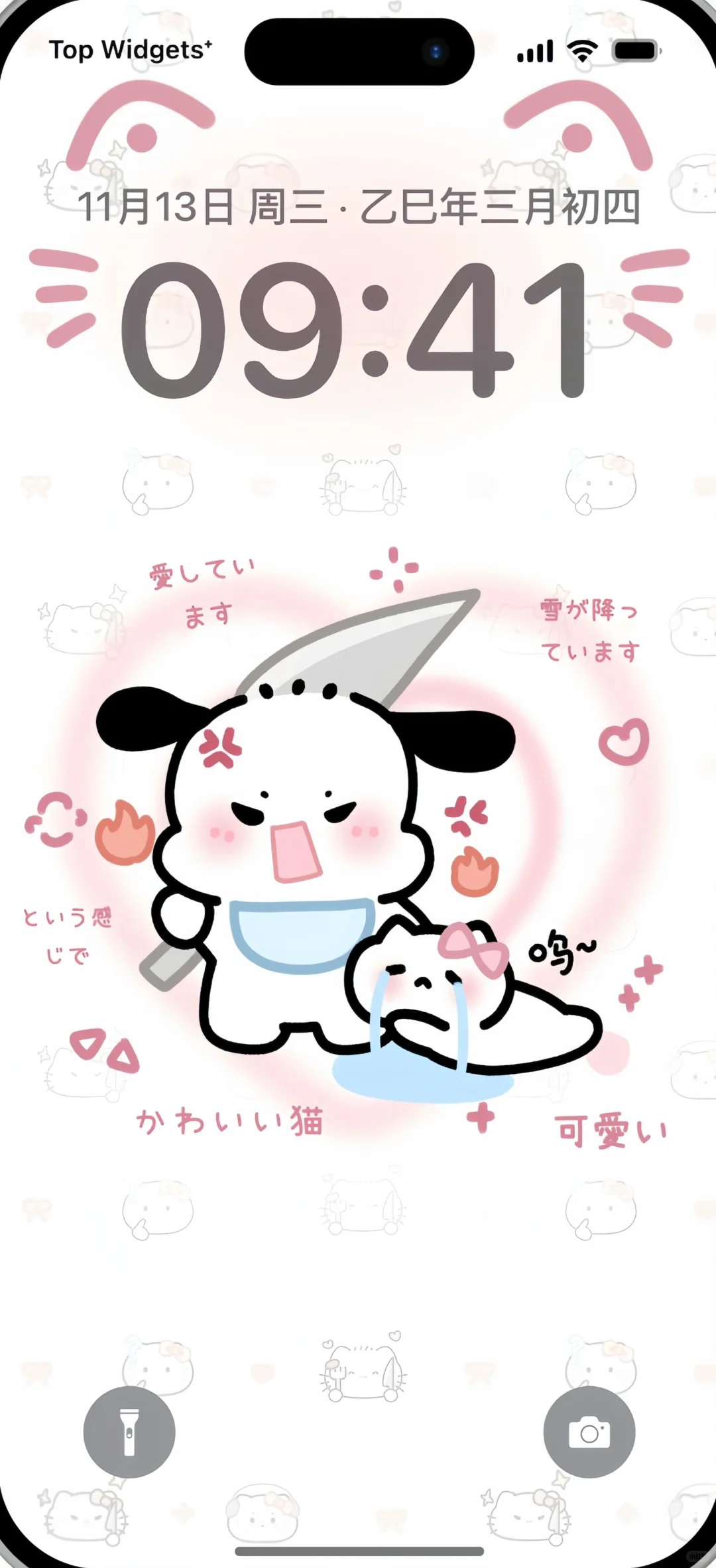 免费帕恰狗Kitty分享