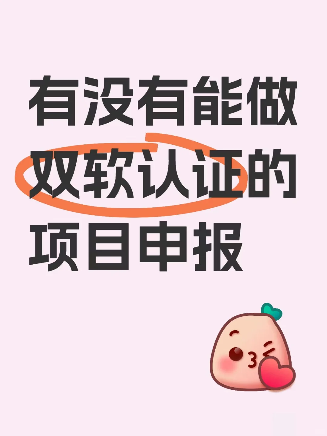 有没有能做双软认证的项目申报呀？求合作