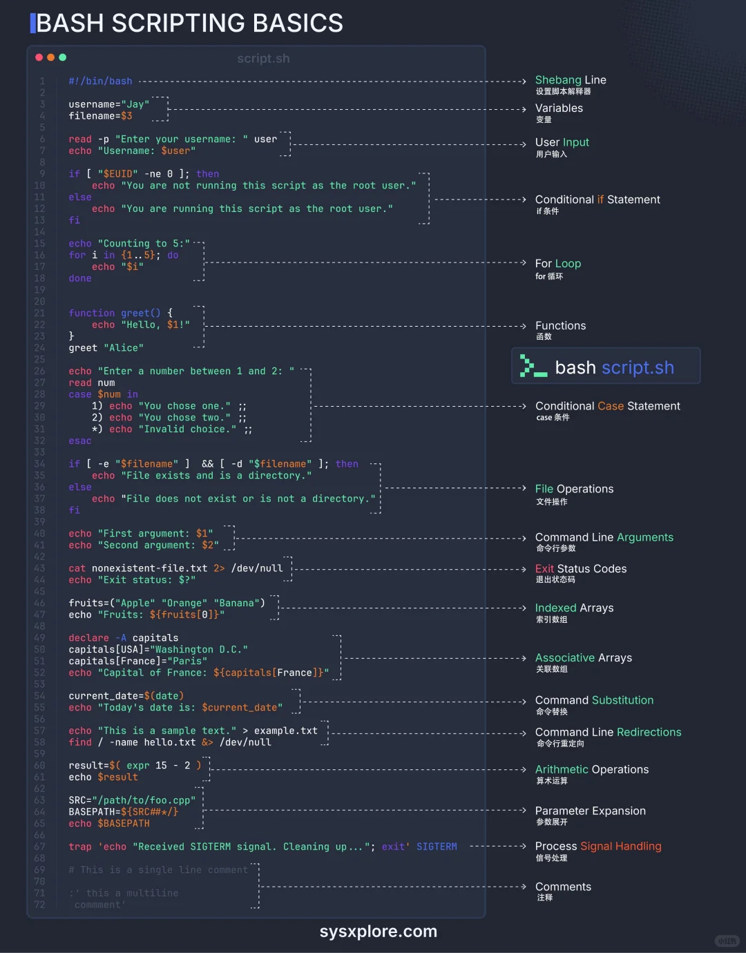 Bash 脚本编写基础