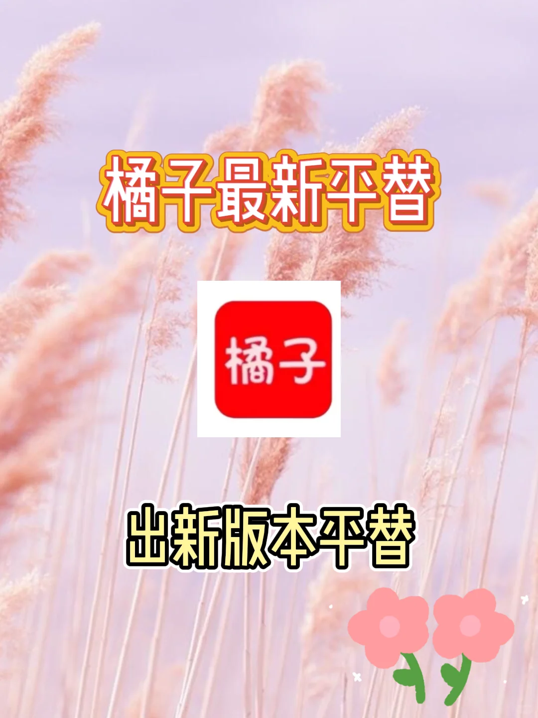 太棒啦，这个是真的好用