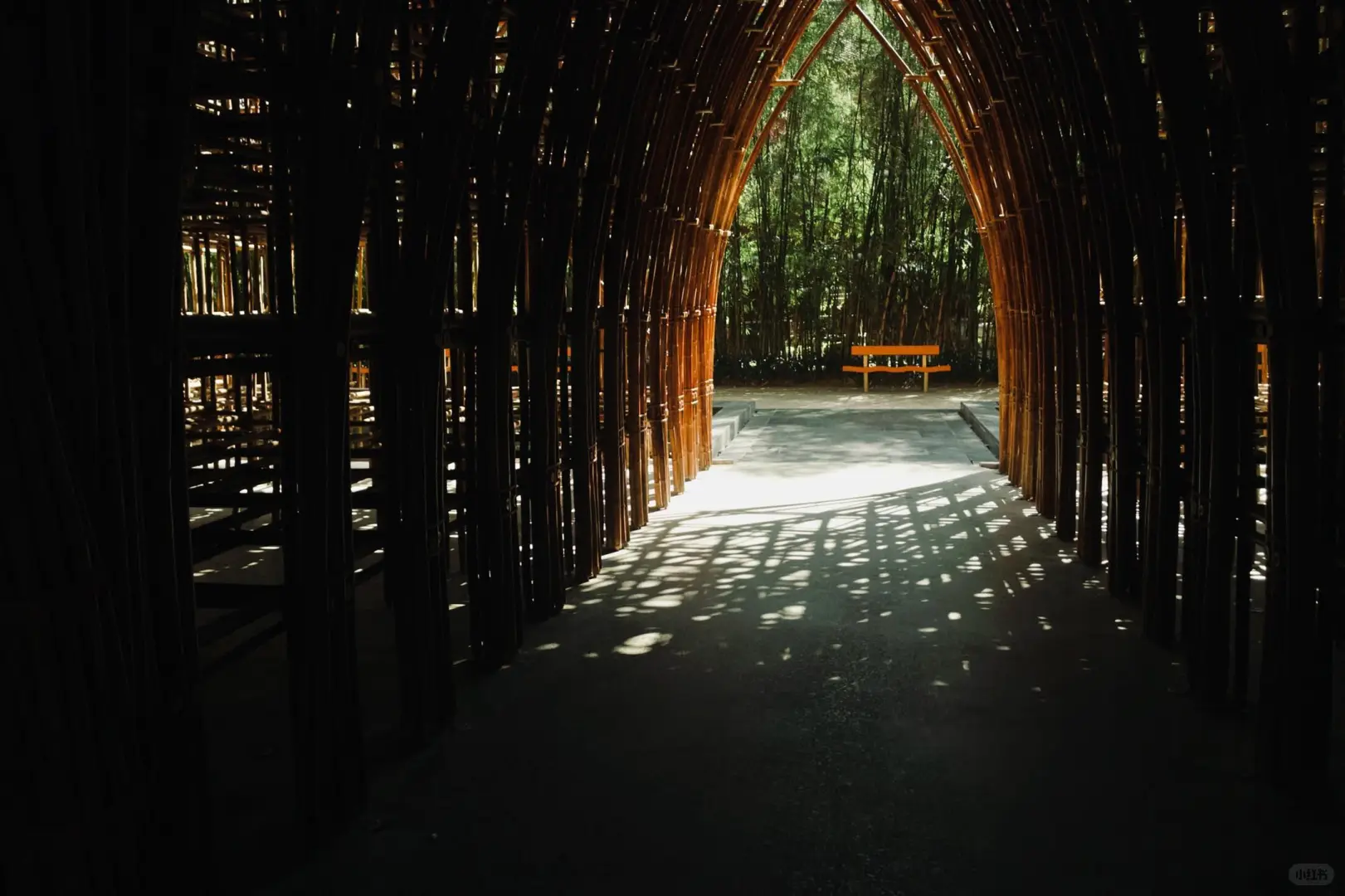 不花💰88，Dazz胶片相机免费用！真香！