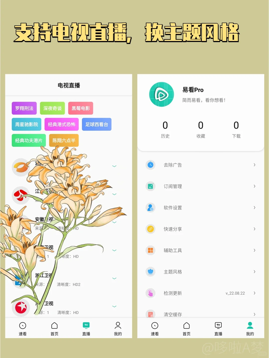 粉丝想要一个能小窗的追剧软件，宠她！