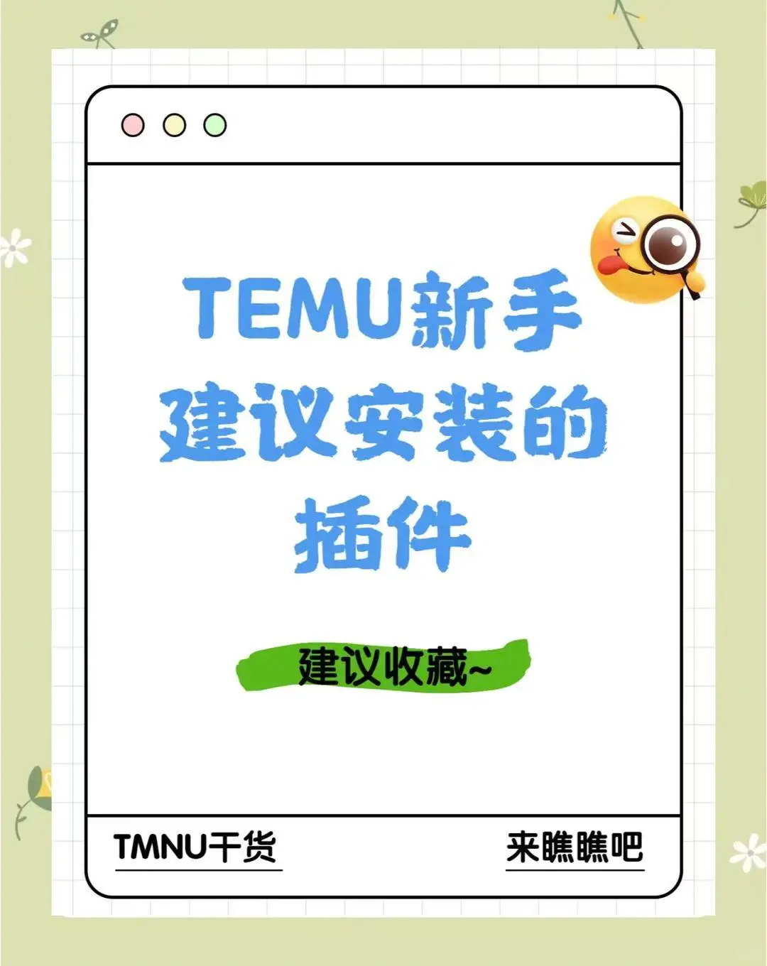 🔥 Temu新手必看！8大神级插件安利