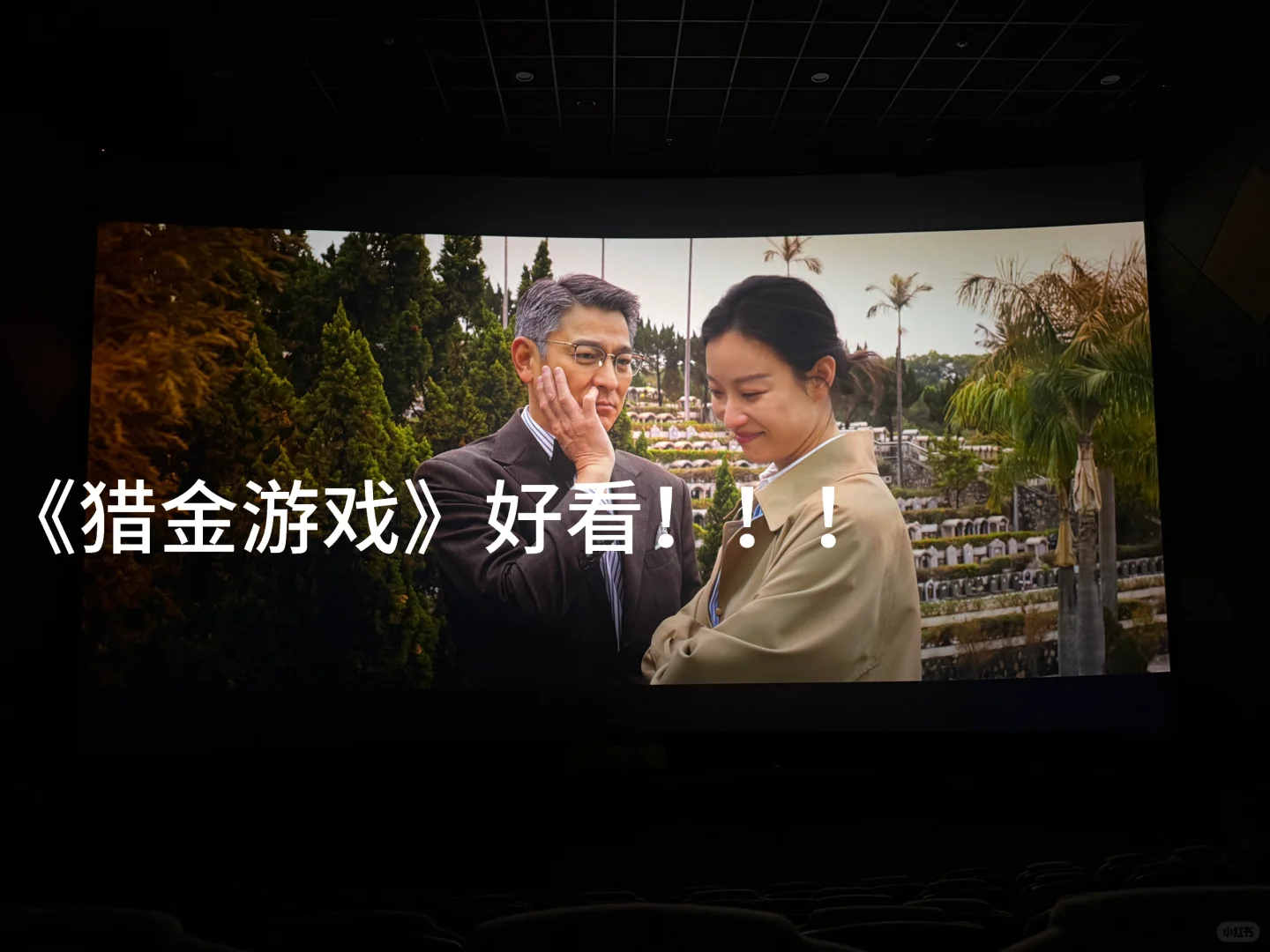 来了！真的很好看！电影院🎬