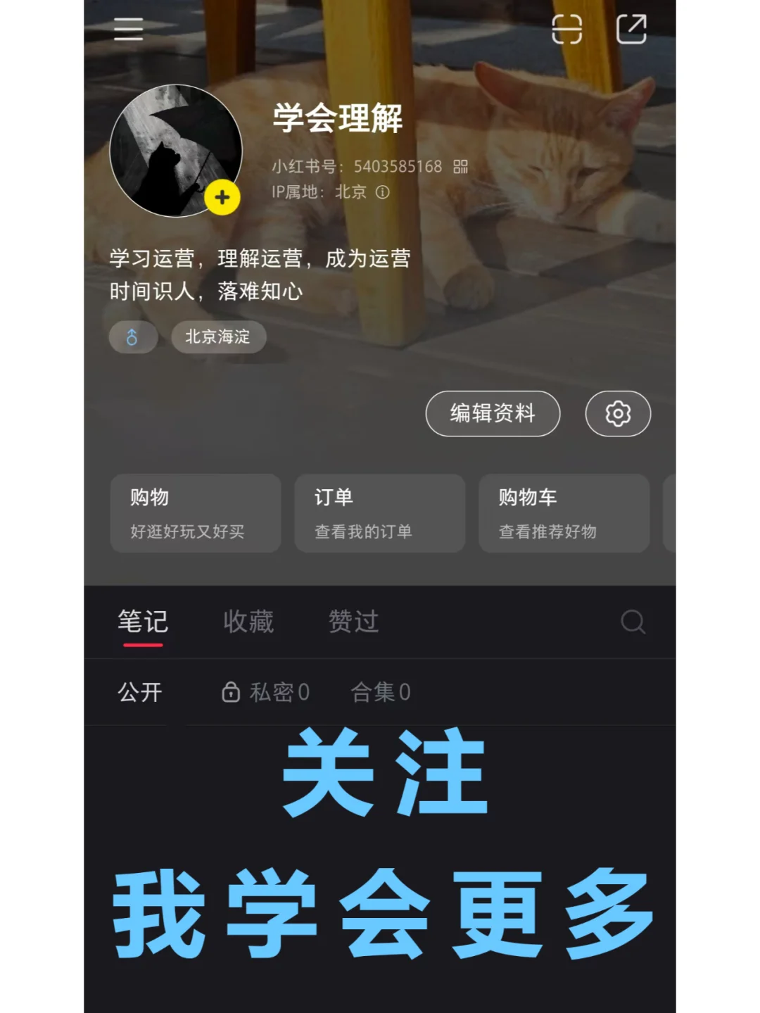 pr必下插件超好用