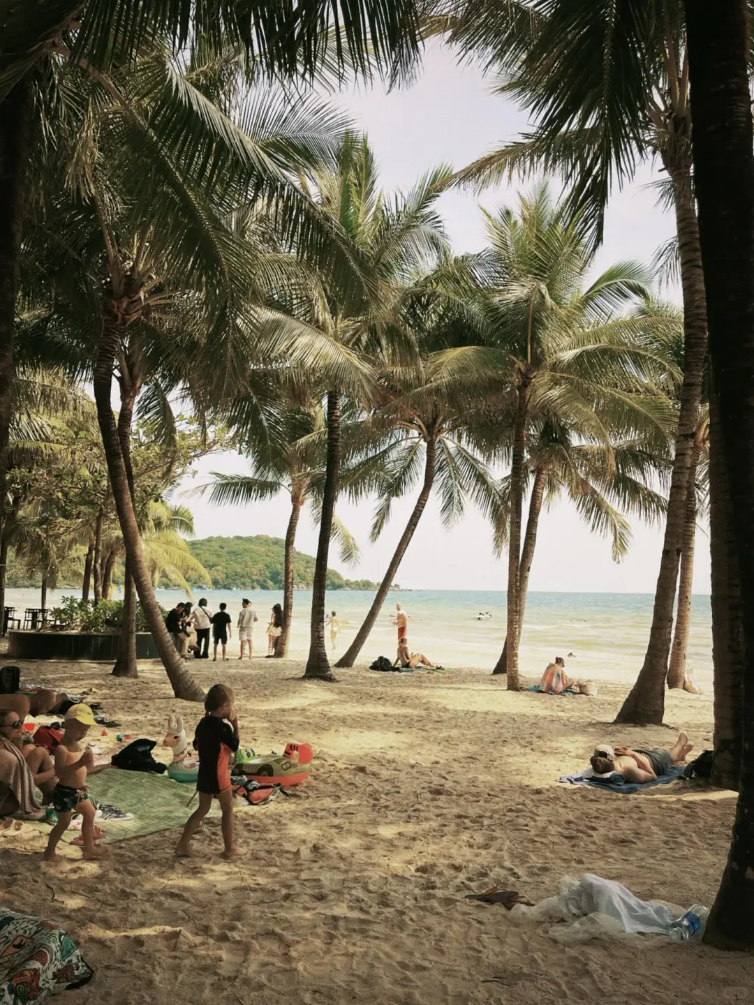 不花💰88，Dazz胶片相机免费用！真香！