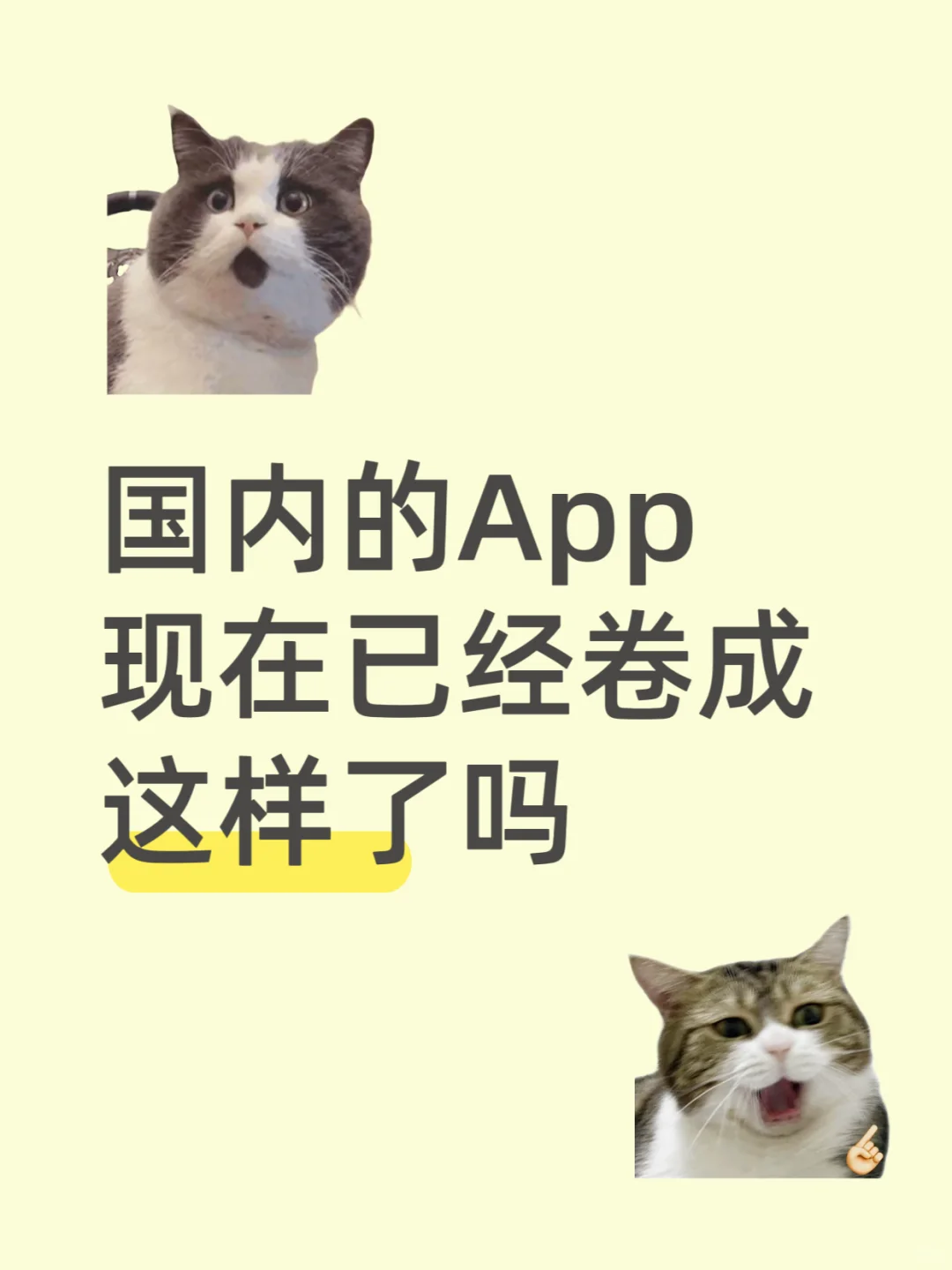 太卷了！这种有趣又全能的App哪里找❗
