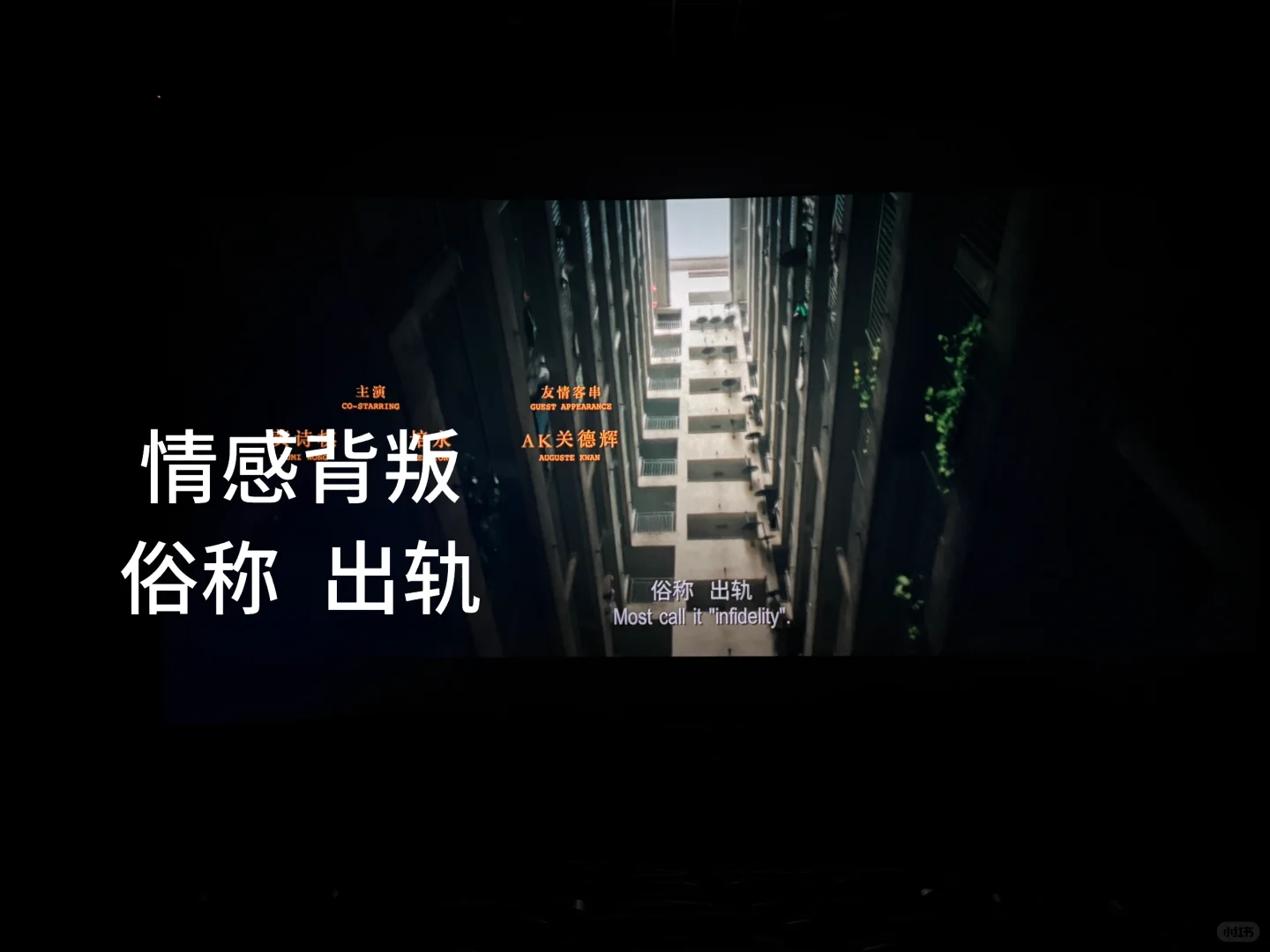 来了！真的很好看！电影院🎬