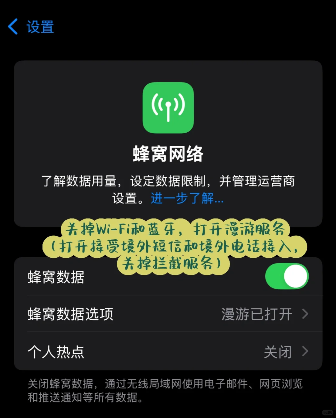 whatsapp🍎iOS不花钱就能装上！接收验证码
