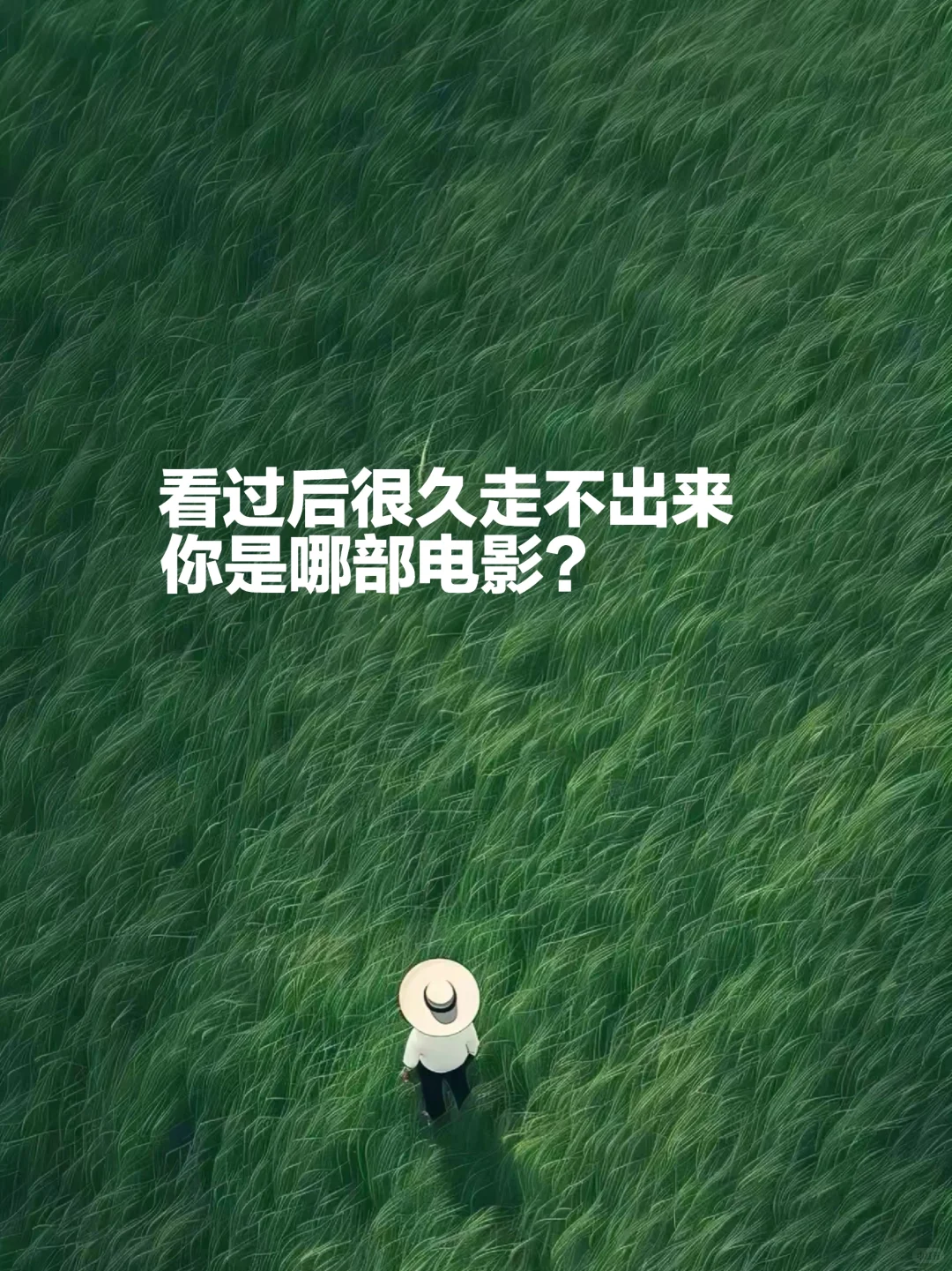 看过后，你很久都走不出来的是哪部电影？