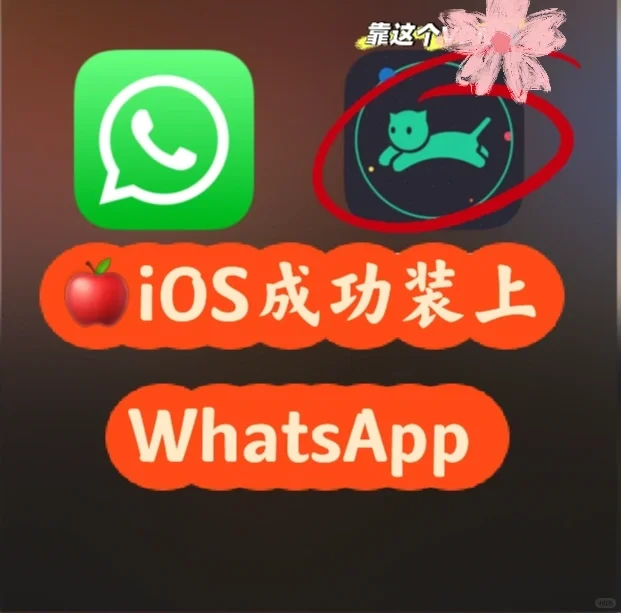 whatsapp🍎iOS不花钱就能装上！接收验证码