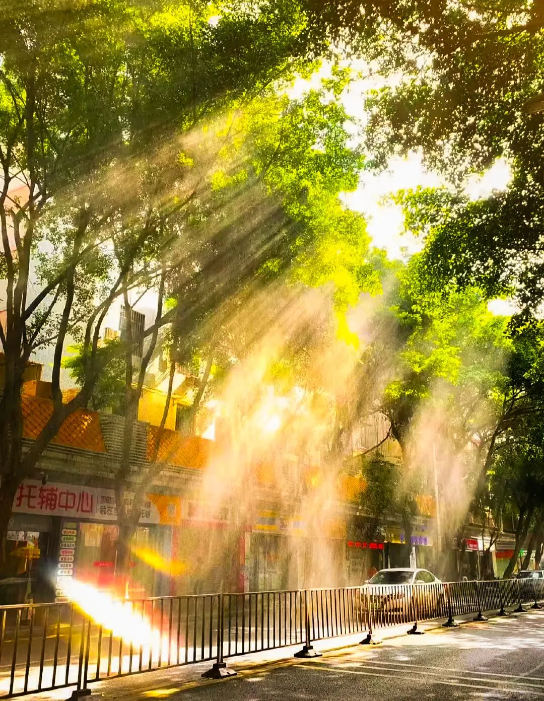 不要再花冤枉💰了，一瓶水💰搞定Lr会员！