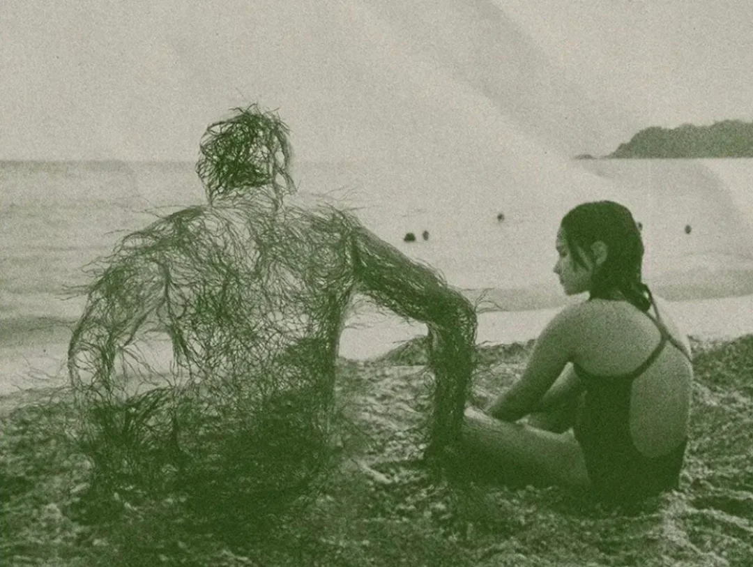 北电文学系推荐电影片单