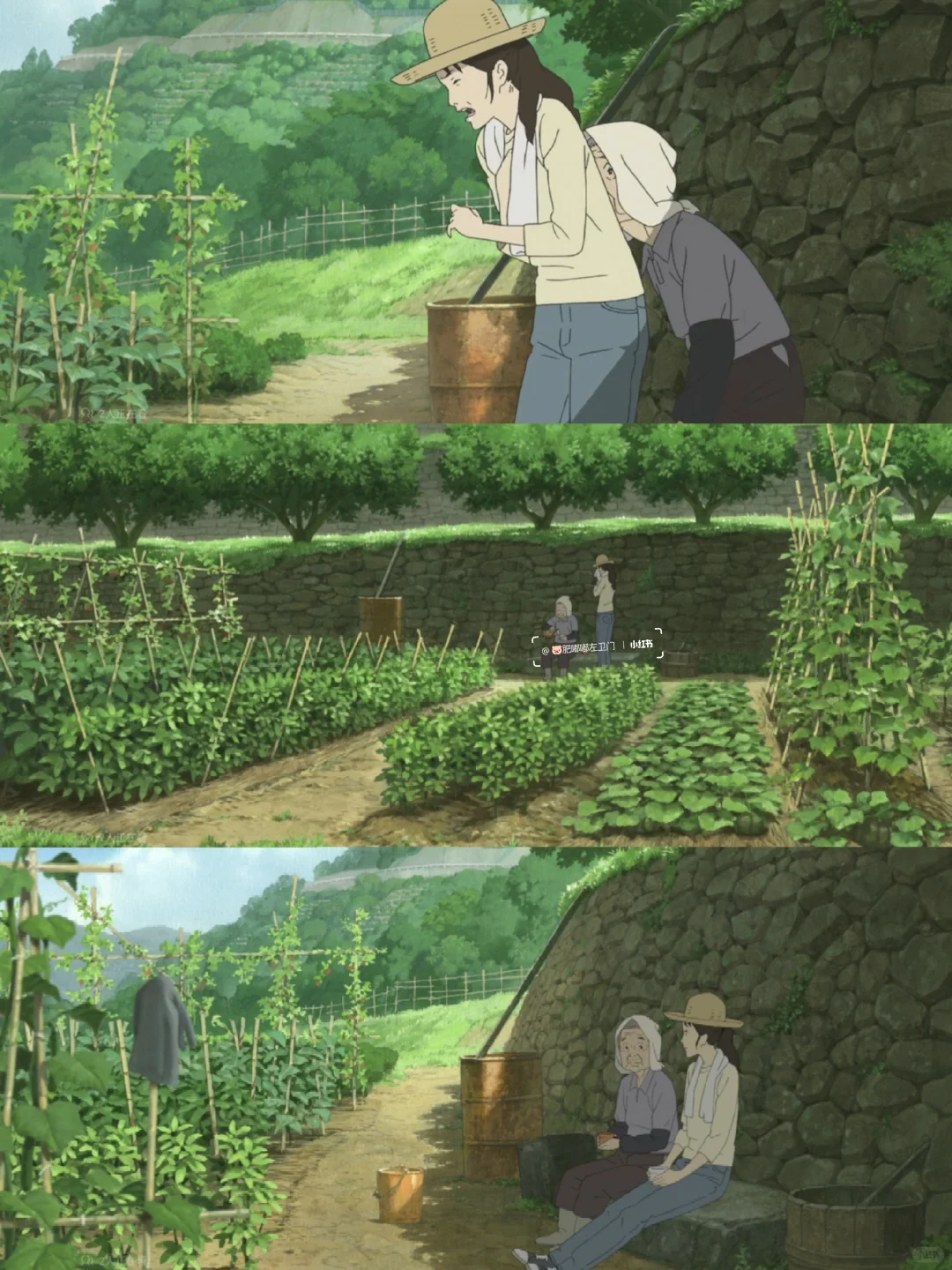 挑战一年365部电影:第1️⃣5️⃣6️⃣部