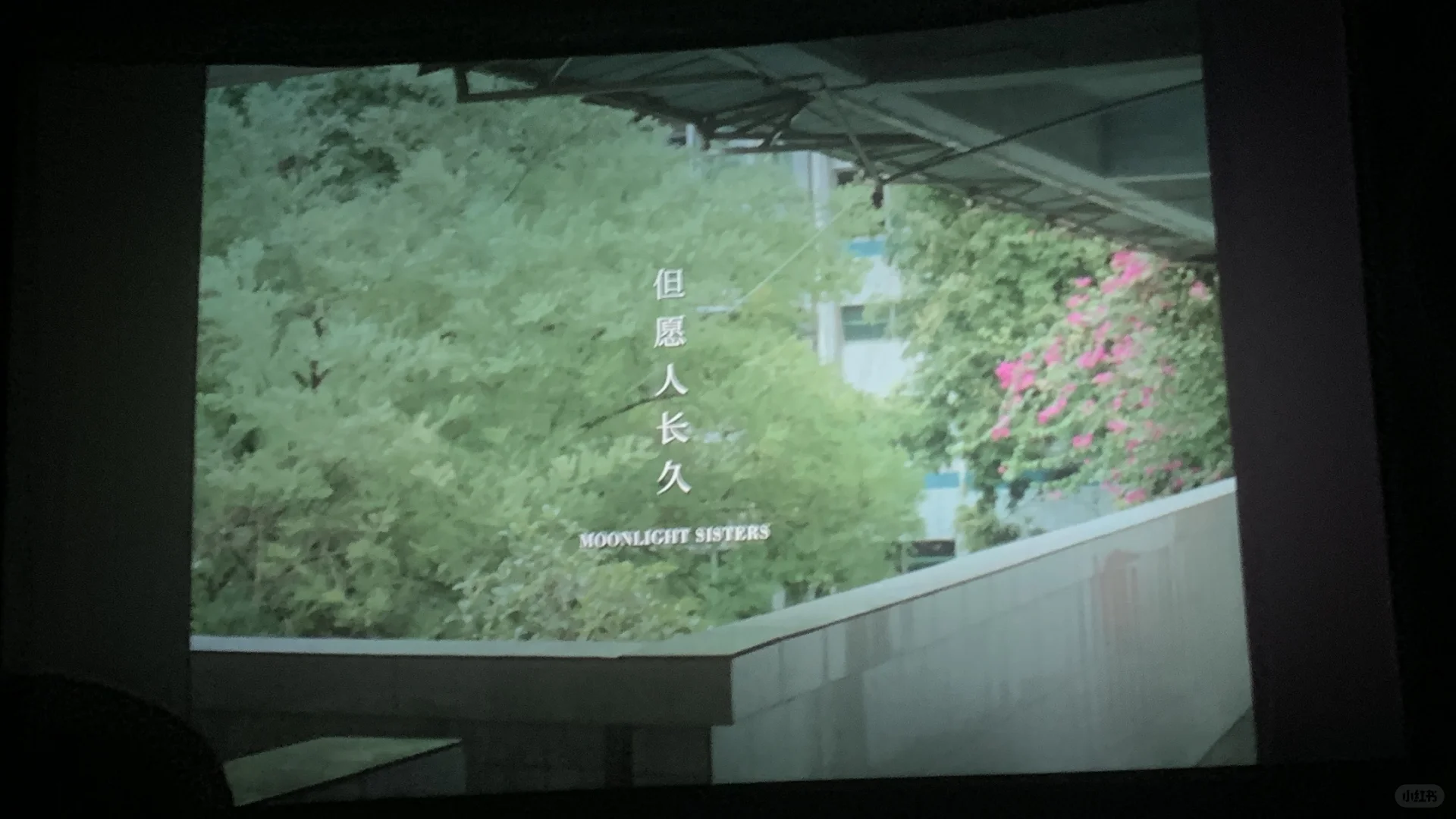 《但愿人长久》电影🎬