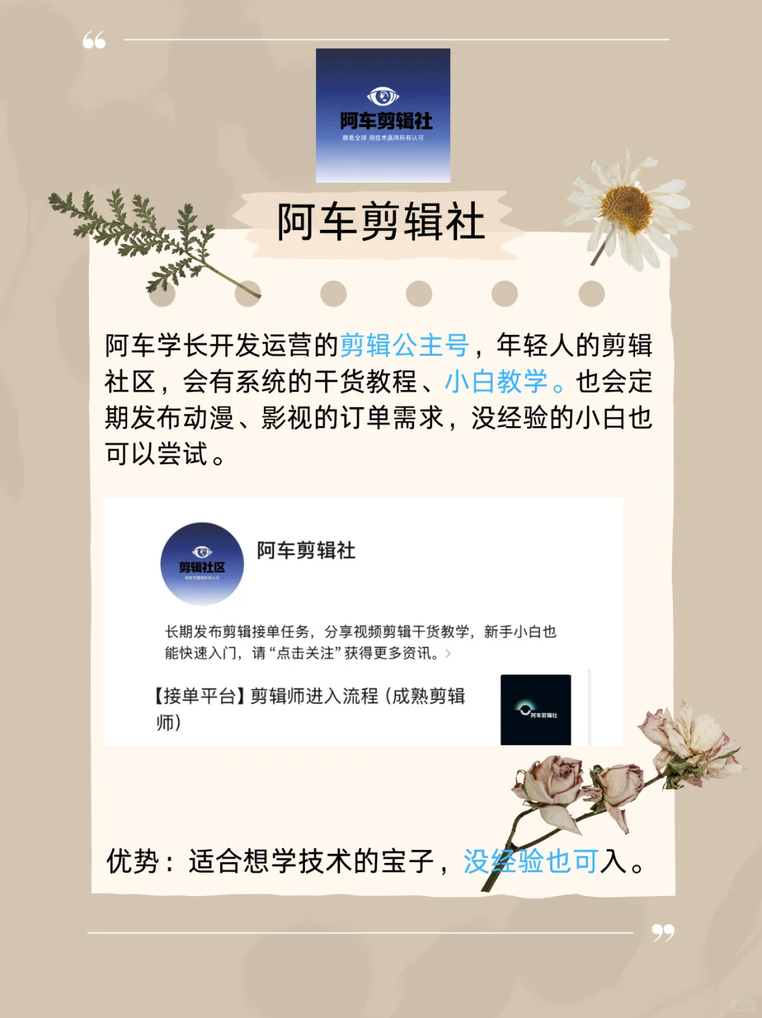 分享几个最近用的剪辑平台