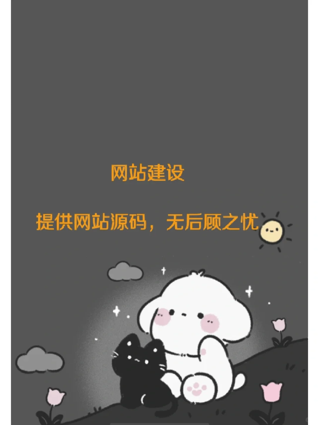 提供网站建设源码