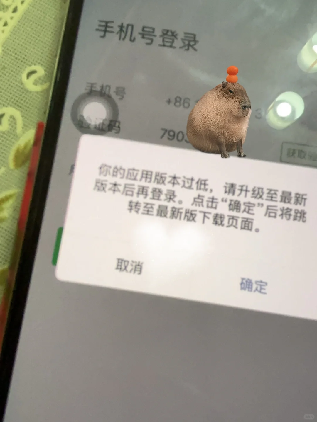 iphoneX从ios11升成16了✅太好用啦