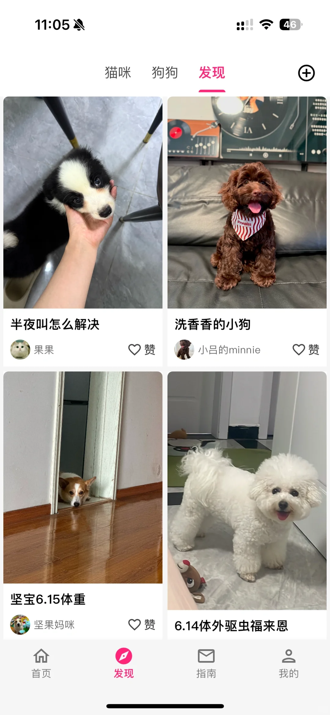 贴心养宠助手：铲屎官日记App使用体验分享