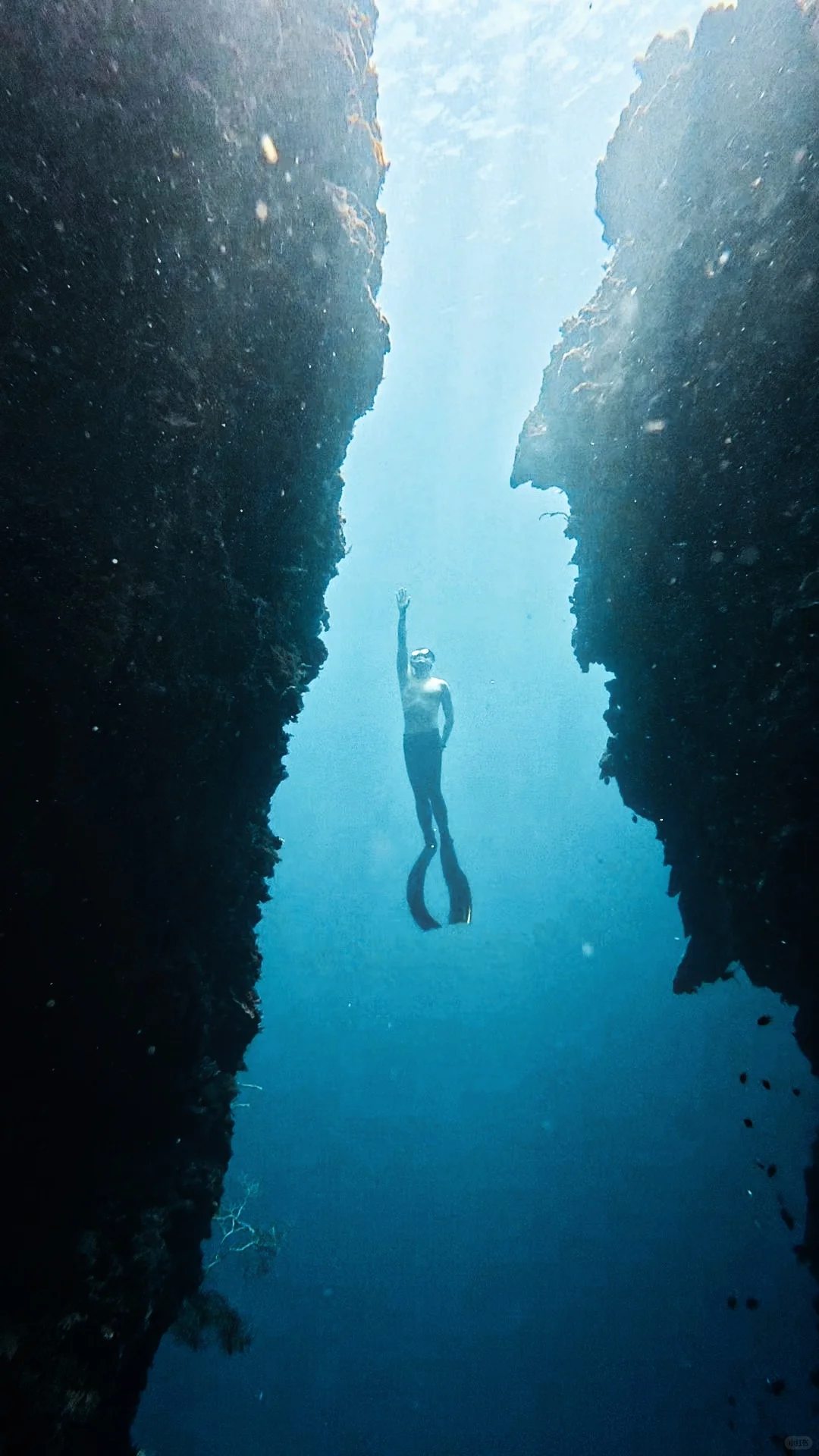 手机修图神器，调色So easy👍🏻