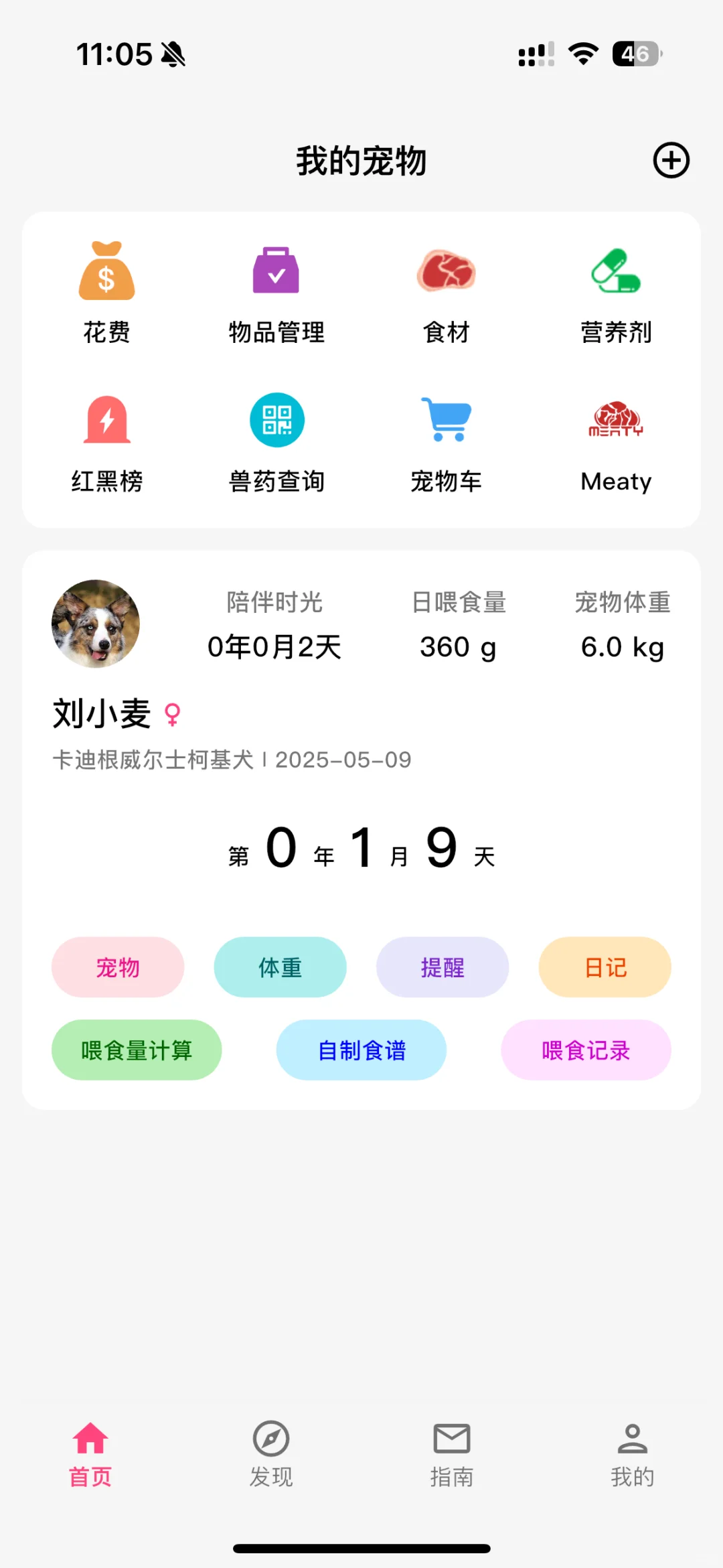 贴心养宠助手：铲屎官日记App使用体验分享