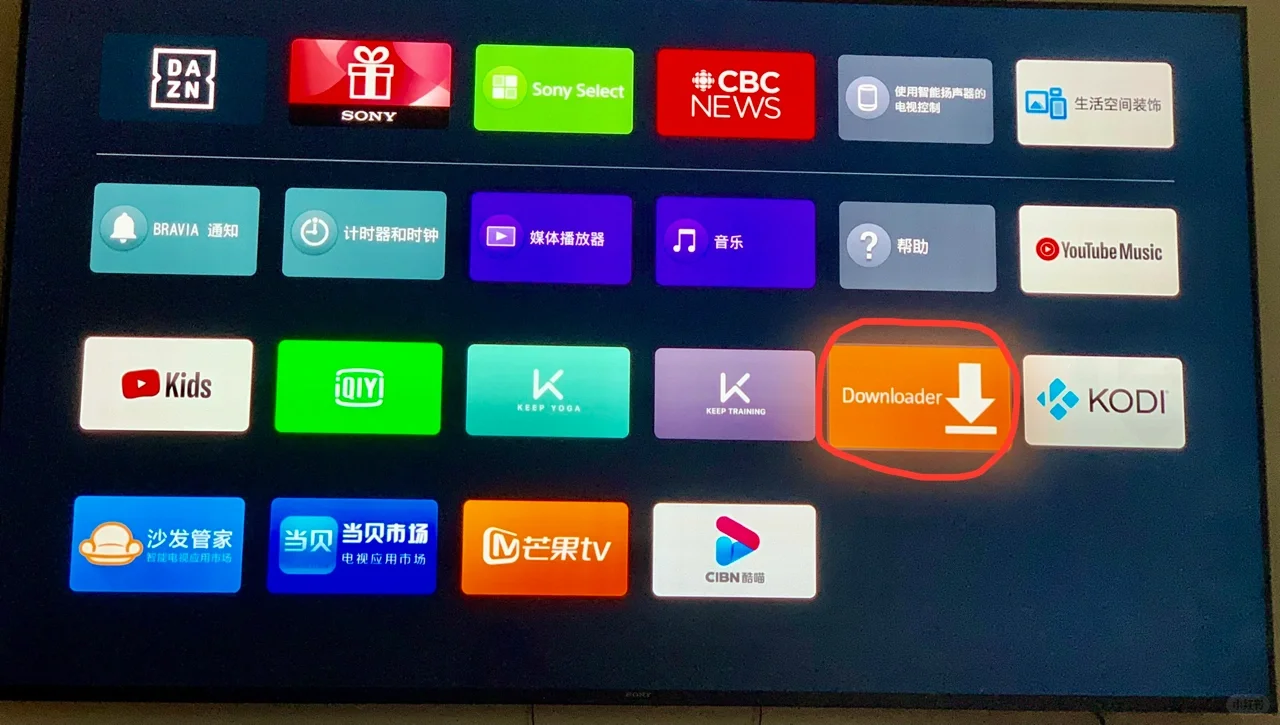 🇨🇦Sony电视如何下载各大国内视频app