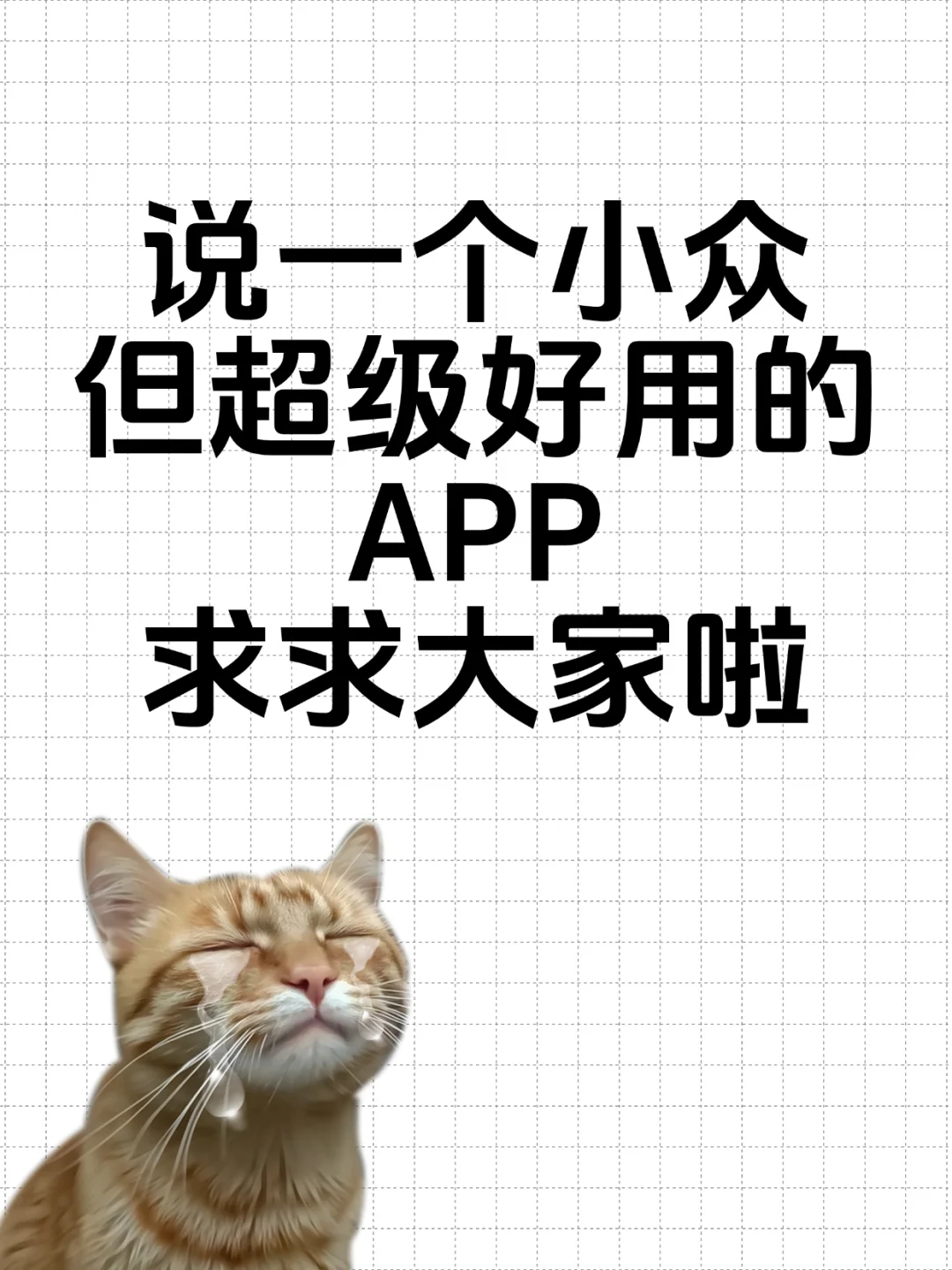 一人说一个小众但超级好用的app