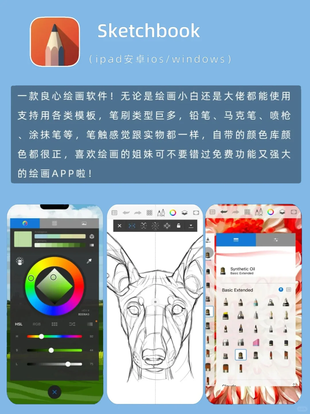 新手必看 | 8款常用的绘画软件推荐✅