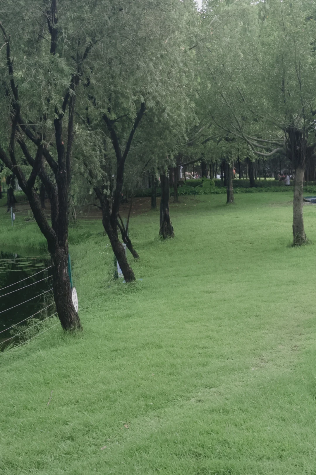 理光真的要被DAZZ取代了吗?