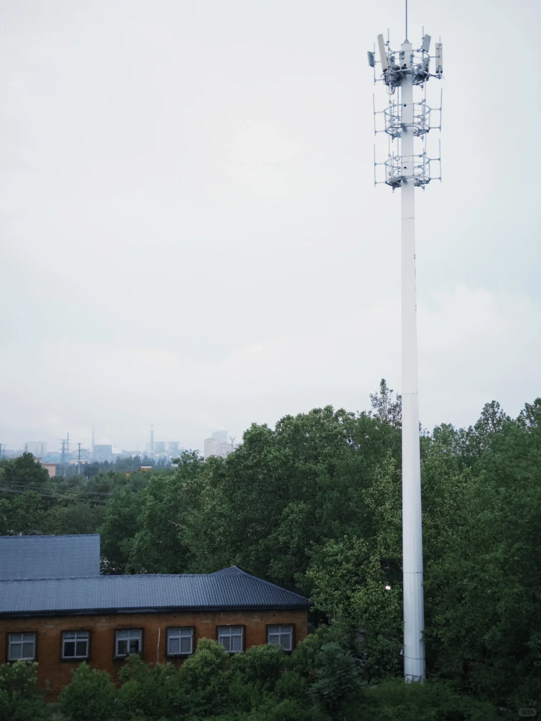 当我爱上Dazz相机📷