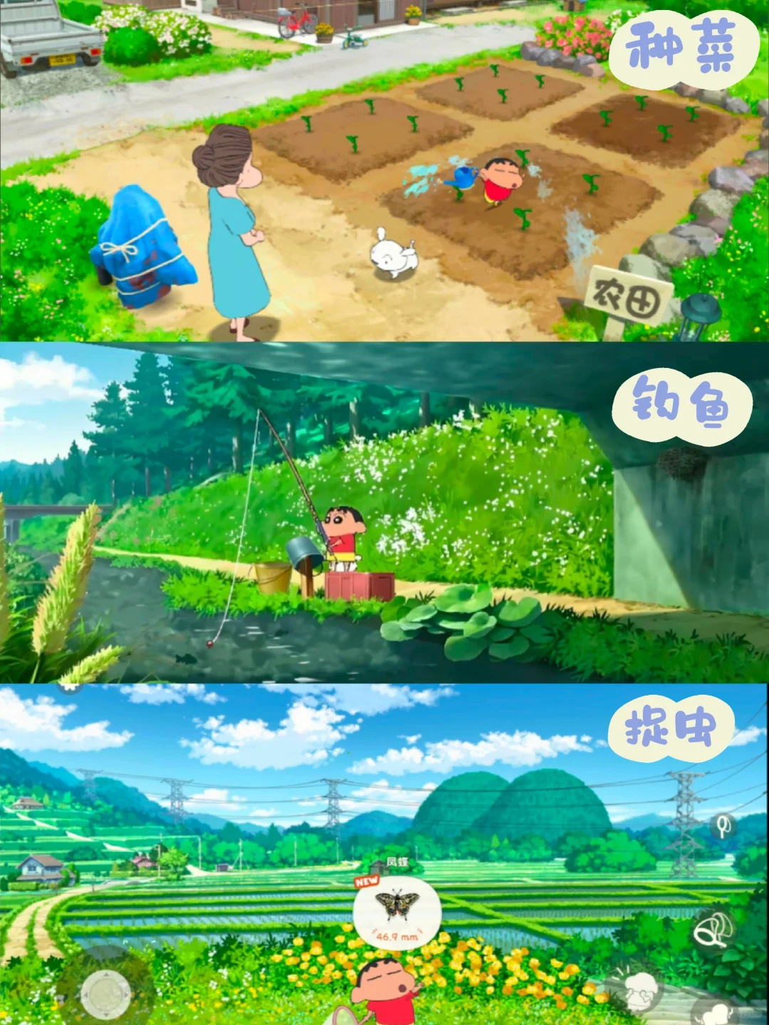 🔥《煤炭镇的小白》苹果/安卓下载教程