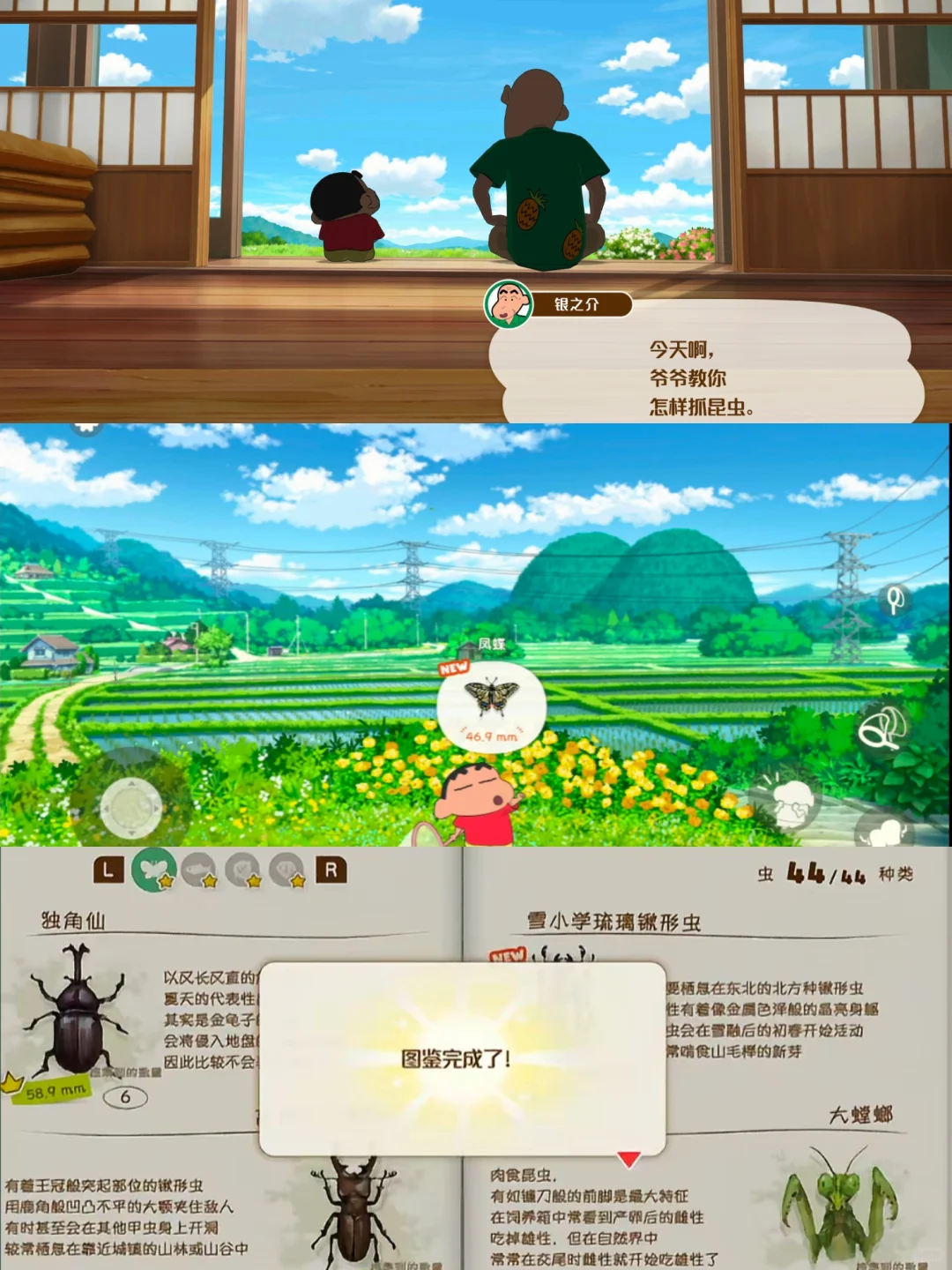 🔥《煤炭镇的小白》苹果/安卓下载教程