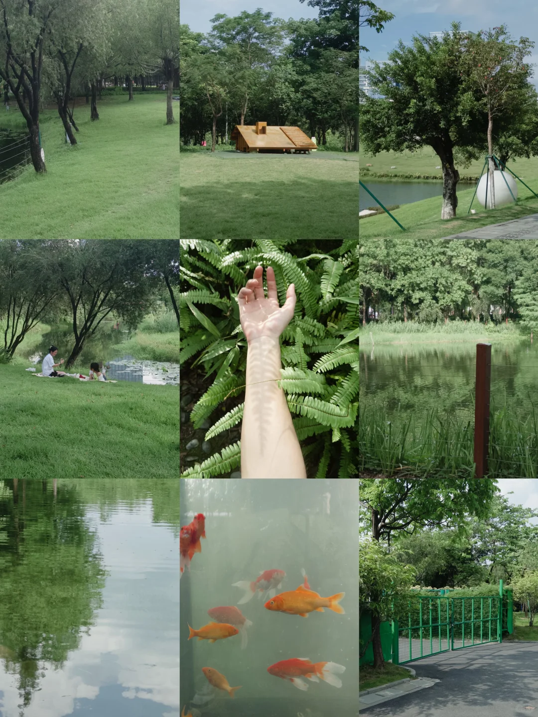 理光真的要被DAZZ取代了吗?