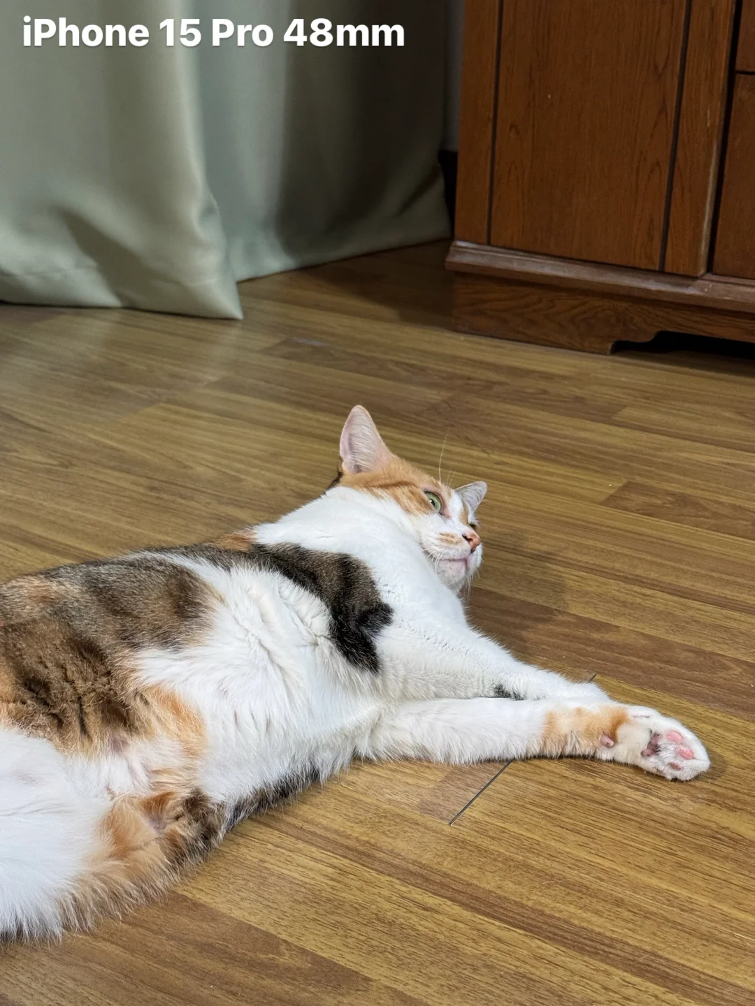 Indigo相机vs苹果原相机：消除锐化秒变CCD?