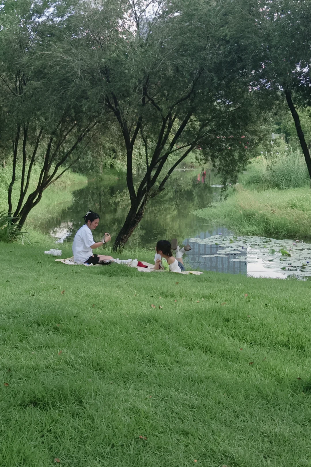 理光真的要被DAZZ取代了吗?