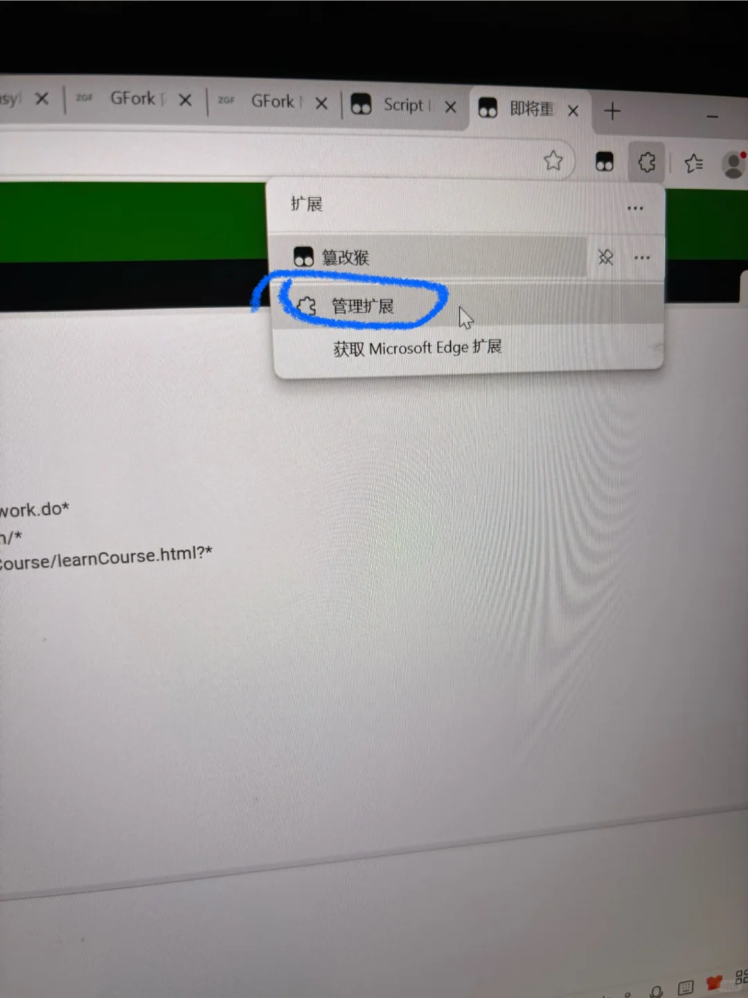 下载油猴打开开发者教程