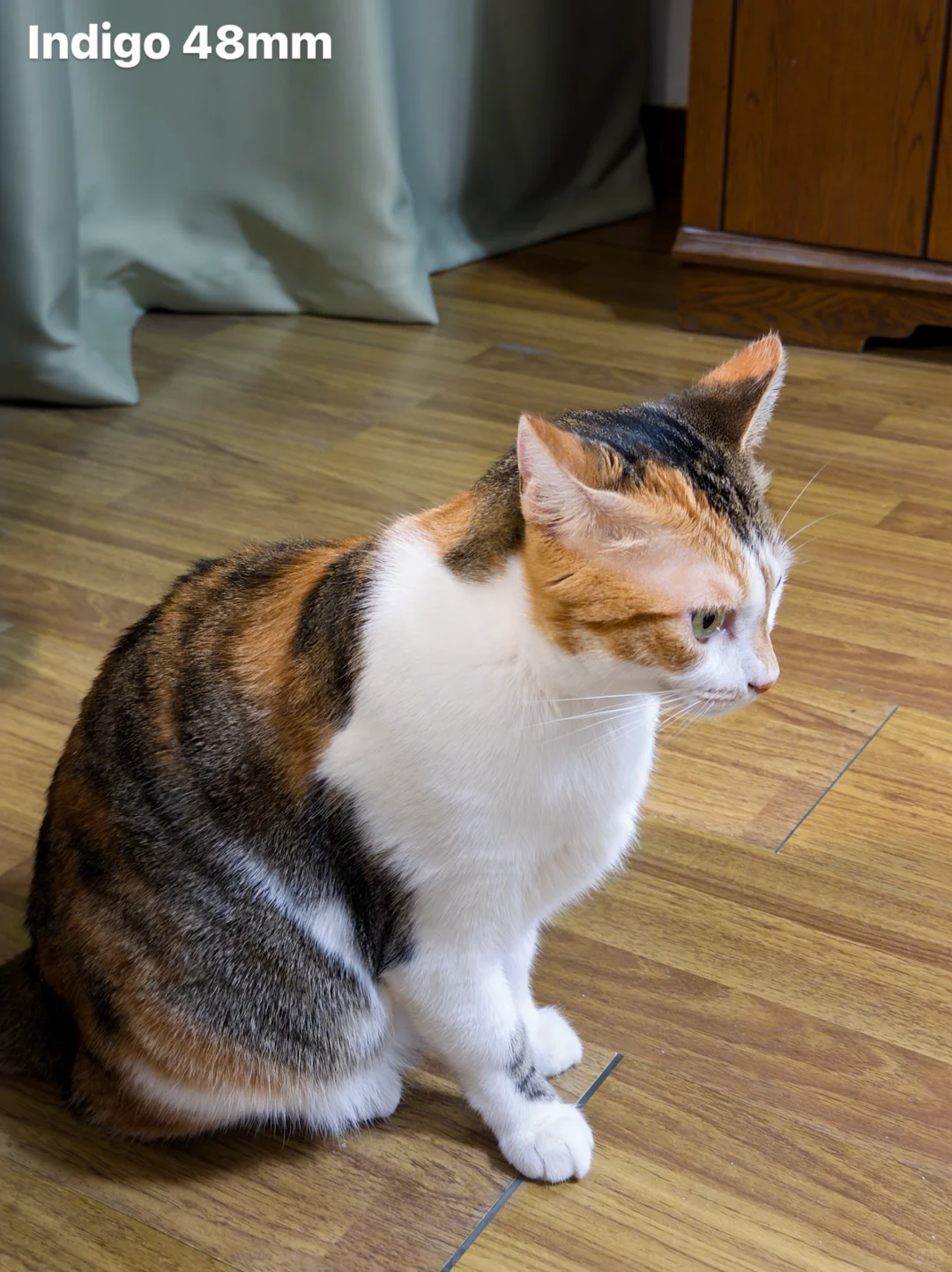 Indigo相机vs苹果原相机：消除锐化秒变CCD?