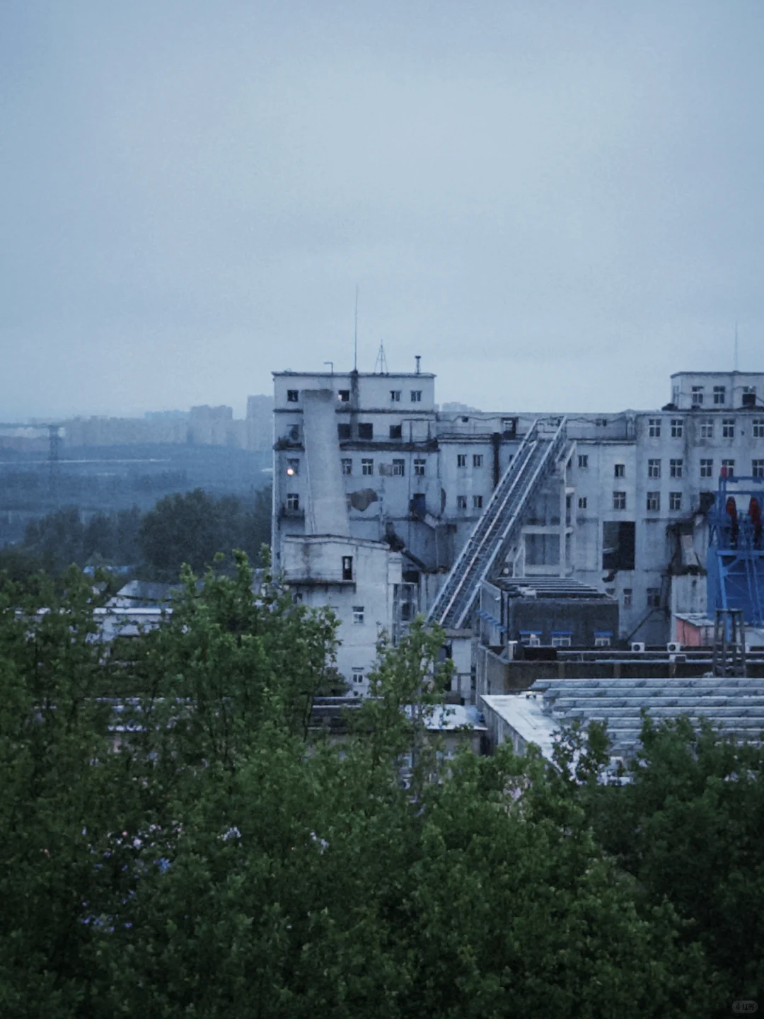 当我爱上Dazz相机📷