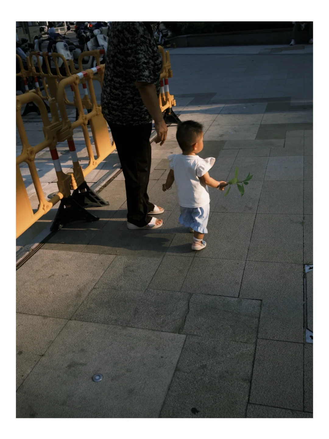 📷摄影博主的手机桌面分享｜上班路上也能拍